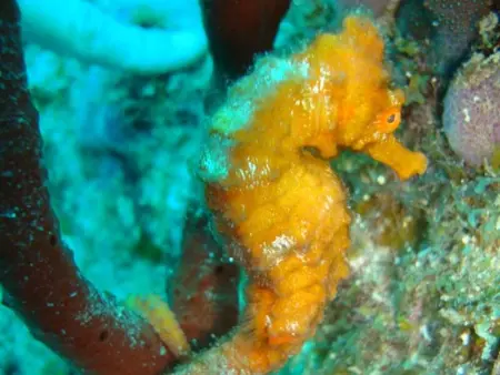 Appartement panoramique Bouillante, Appartement 6 personnes à Bouillante - Photo 13