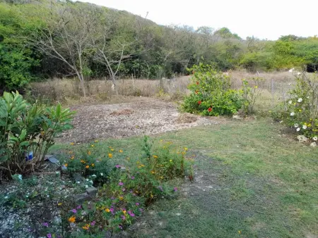 Appartement au bord de mer à Capesterre-de-Marie-Galante, 60 m² - Photo 10