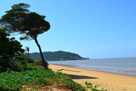 Appartement moderne à Remire-Montjoly avec balcon, 60 m² - Photo 10