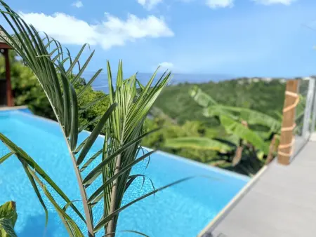 Charmant Bungalow avec vue sur la mer à Marigot, 60 m², piscine. - Photo 11