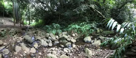 Appartement confortable à Saint-Pierre avec piscine privée (55 m²) - Photo 13