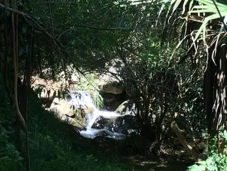 Appartement confortable à Saint-Pierre avec piscine privée (55 m²) - Photo 16