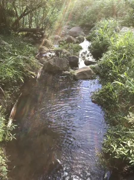 Appartement confortable à Saint-Pierre avec piscine privée (55 m²) - Photo 17