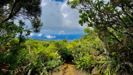 Appartement confortable à Saint-Pierre avec piscine privée (55 m²) - Photo 18