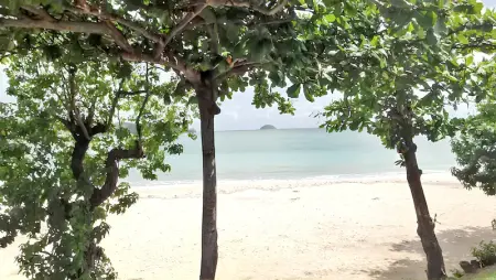 Appartement charmant avec vue sur mer à La Trinité, 65 m² - Photo 6