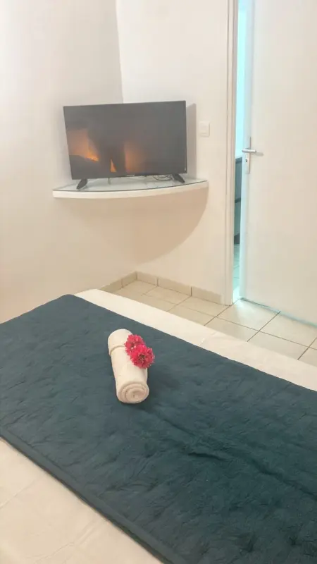 Charmant appartement à La Trinité avec piscine partagée - 40 m² - Photo 12