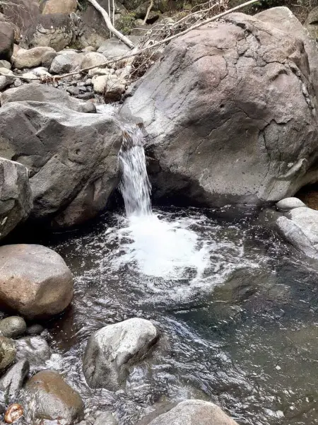 Maison charmante à Pointe Noire, vue montagne, jardin privé - Photo 19