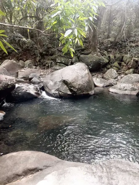 Maison charmante à Pointe Noire, vue montagne, jardin privé - Photo 28
