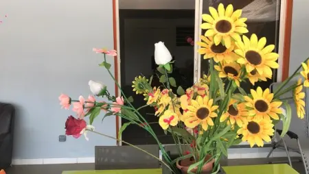 Appartement charmant à Sainte-Marie, 55 m², piscine - Photo 6