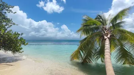 Maison confortable avec piscine privée à Capesterre-Belle-Eau. - Photo 18