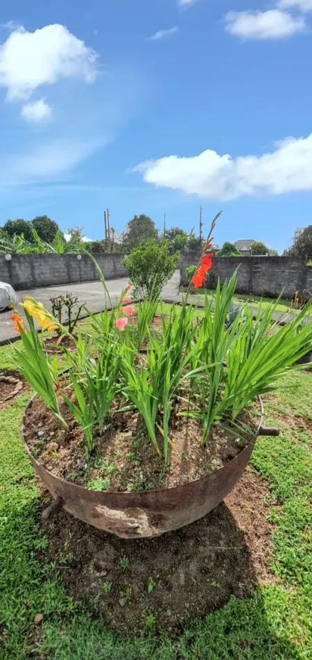 Bungalow charmant à Capesterre 67 m² avec piscine partagee - Photo 8