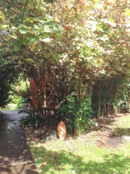 Bungalow idyllique à Trois-Rivières avec piscine partagée - Photo 14