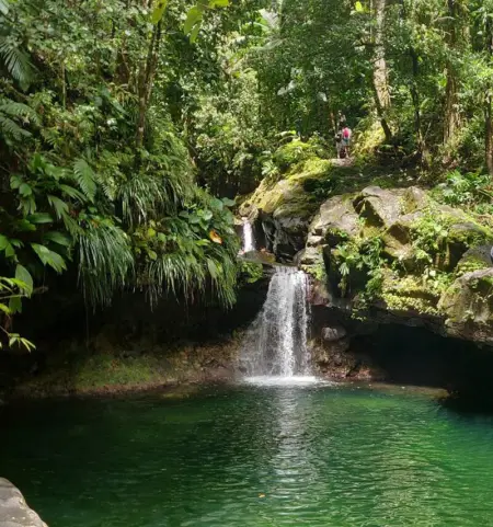 Studio charmant avec vue sur la mer à Capesterre-Belle-Eau de 35 m² - Photo 9