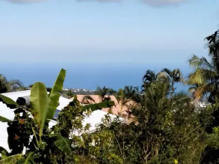 Maison confortable à Saint Paul avec jardin clos - Photo 39