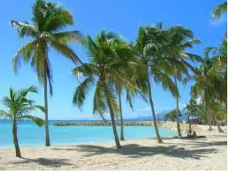Maison charmante avec vue mer et montagne à Capesterre-B-E - Photo 5