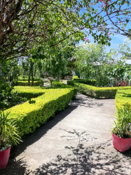 Maison cosy à Ravine des Cabris avec piscine partagée - Photo 9