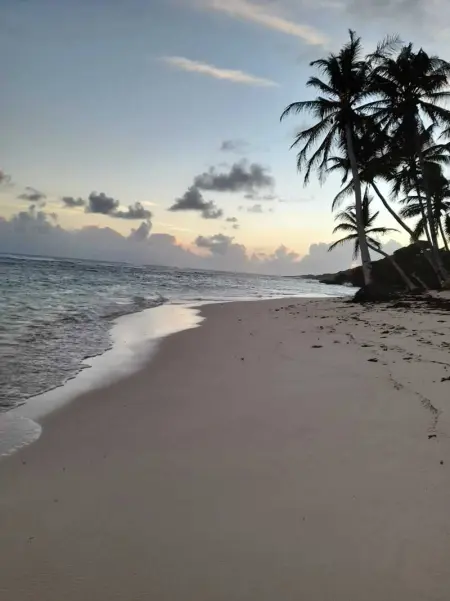 Studio confortable à Capesterre-de-Marie-Galante - 20 m² - Photo 3