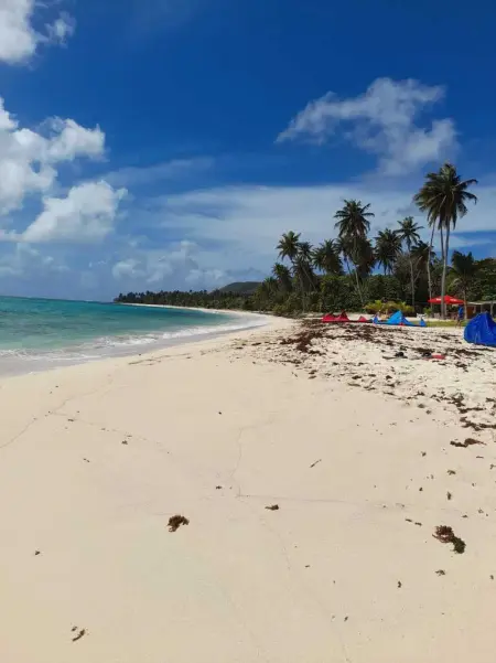 Studio confortable à Capesterre-de-Marie-Galante - 20 m² - Photo 13