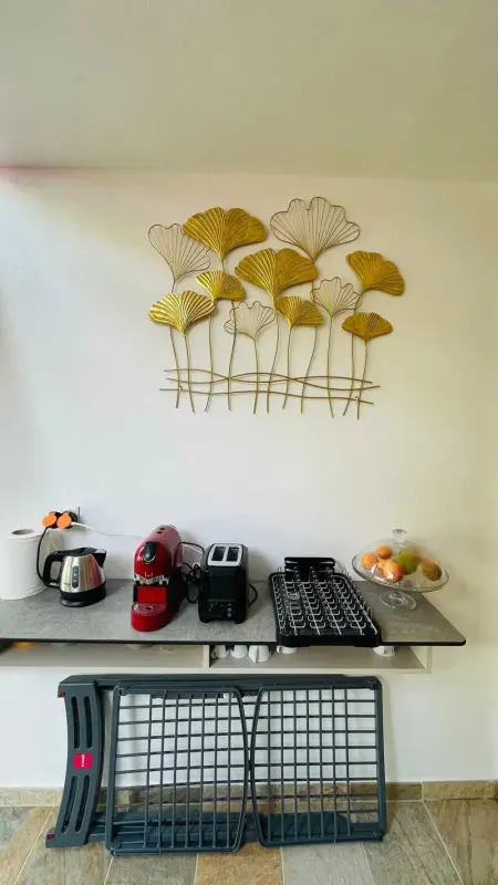 Appartement charmant au Diamant 30 m² avec vue mer - Photo 4