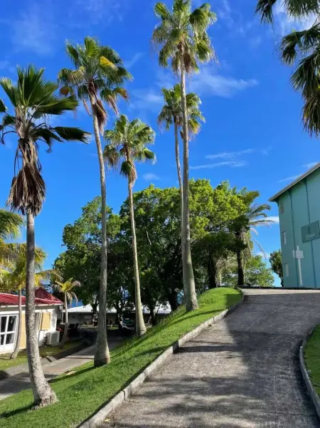 Appartement charmant au Diamant 30 m² avec vue mer - Photo 9