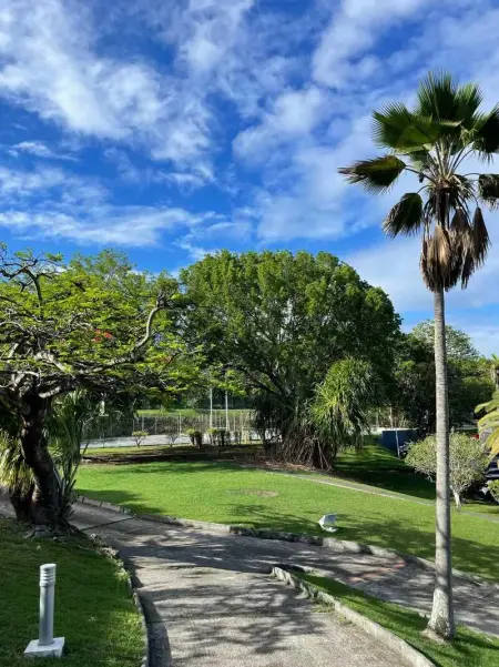 Appartement charmant au Diamant 30 m² avec vue mer - Photo 10