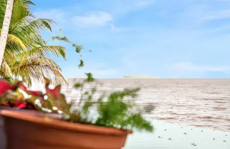 Appartement cosy à Remire-Montjoly, 30 m² avec jardin privé - Photo 9