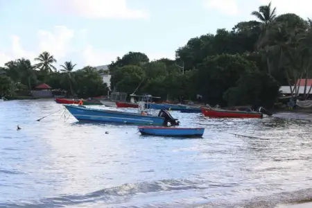 Appartement avec vue sur la mer à La Trinité - 32 m² - Terrasse - Photo 20