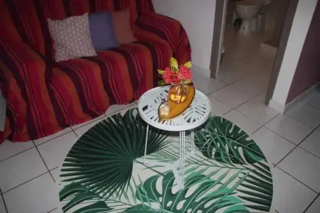 Appartement avec vue sur la mer à La Trinité - 32 m² - Terrasse - Photo 46