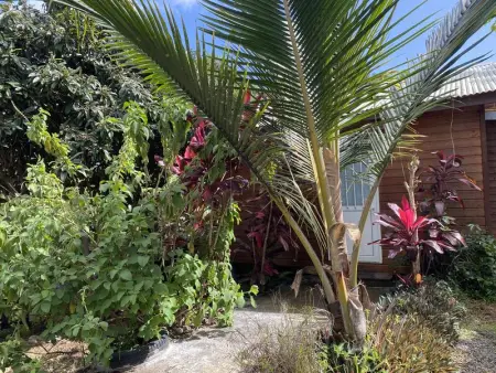 Chalet pittoresque à Le Tampon, vue mont., Chalet 4 personnes à Le Tampon - Photo 4