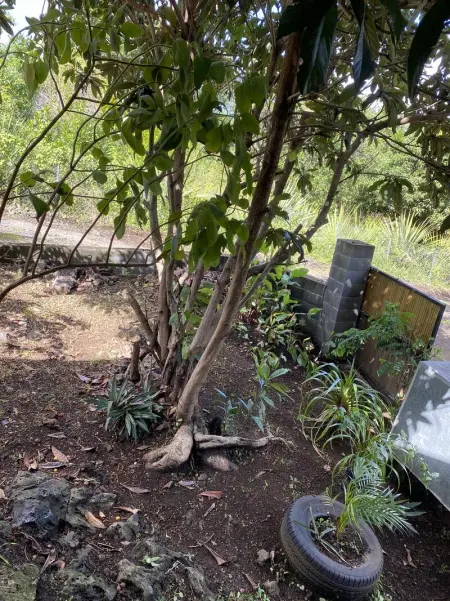 Chalet pittoresque à Le Tampon, vue mont., Chalet 4 personnes à Le Tampon - Photo 6