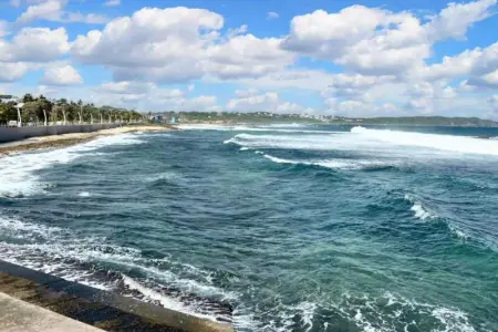 Bungalow charmant au Moule avec piscine et jardin - Photo 7