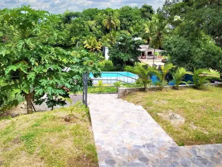 Bungalow charmant au Moule avec piscine et jardin - Photo 14