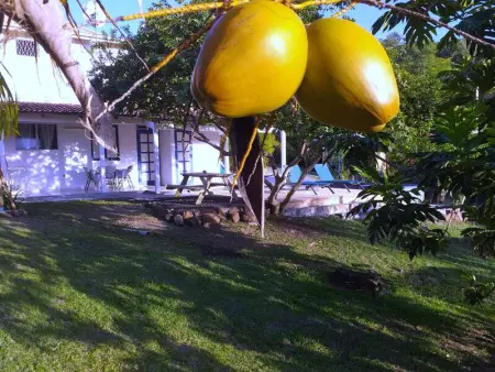 Appartement confortable à Le Marin, jardin, 80 m², proche mer - Photo 16