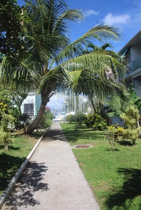 Appartement moderne à Les Trois Ilets, 40 m², vue jardin - Photo 15