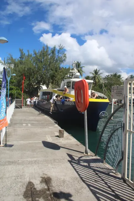 Appartement moderne à Les Trois Ilets, 40 m², vue jardin - Photo 16