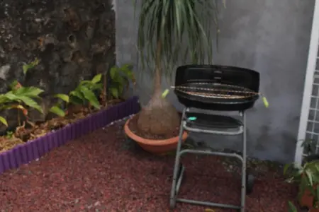 Charmante Maison avec Jardin à Tampon, Maison 4 personnes à Tampon - Photo 10