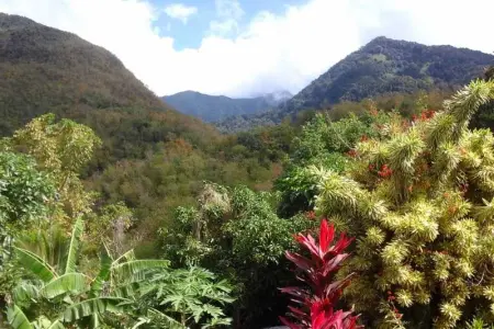Villa avec vue sur mer à Vieux Habitants, piscine - Photo 18