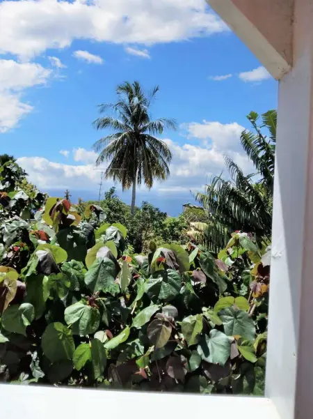 Studio lumineux avec vue sur la mer à Baillif – 45 m² + Terrasse - Photo 13