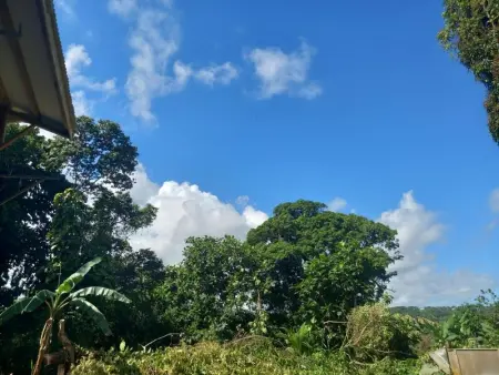Maison accueillante à Gros Morne avec parking gratuit. - Photo 12