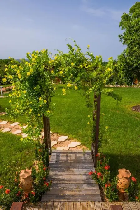 Maison cosy avec jardin à Anse-Bertrand, Maison 2 personnes à Anse Bertrand - Photo 8