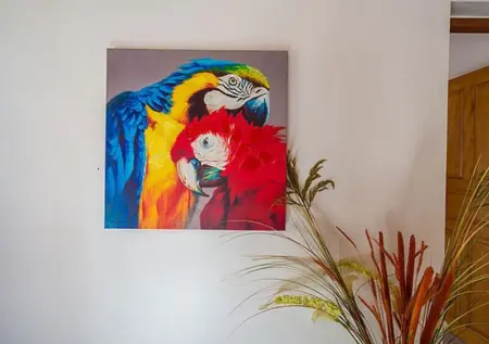 Maison cosy avec jardin à Anse-Bertrand, Maison 2 personnes à Anse Bertrand - Photo 16