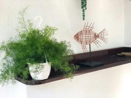 Maison charmante à Les Trois-Îlets avec jacuzzi - Photo 7