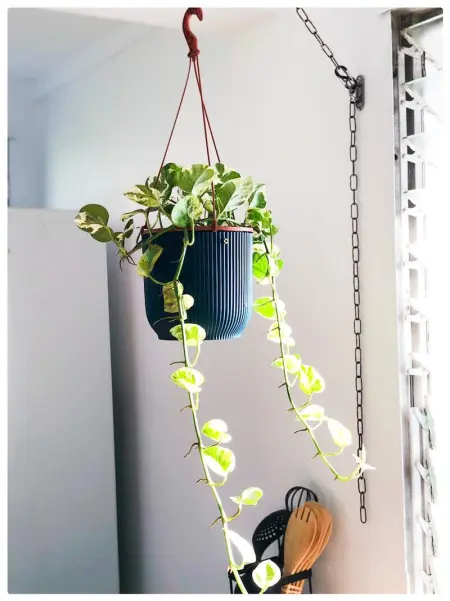 Maison charmante à Les Trois-Îlets avec jacuzzi - Photo 23