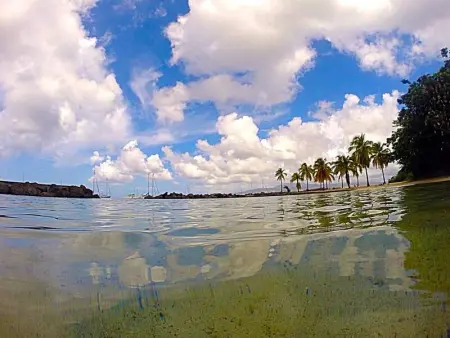 Charmant studio avec balcon aux Trois-Îlets - 22 m² - Photo 1