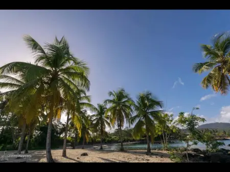 Charmant studio avec balcon aux Trois-Îlets - 22 m² - Photo 8