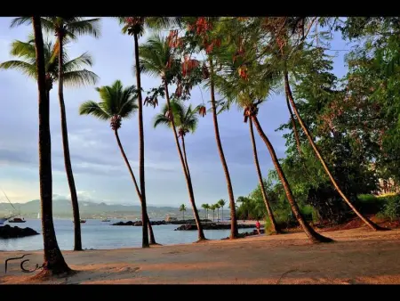 Charmant studio avec balcon aux Trois-Îlets - 22 m² - Photo 9