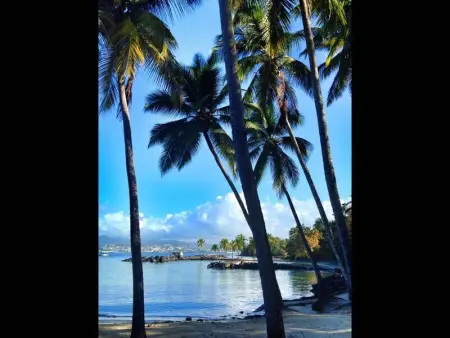 Charmant studio avec balcon aux Trois-Îlets - 22 m² - Photo 10