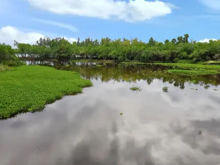 Appartement avec vue sur mer à Saint-Paul, 50 m², Terrasse - Photo 20