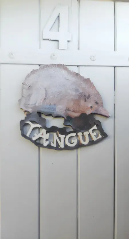 Maison accueillante à Ravine des Cabris avec vue sur montagne - Photo 6