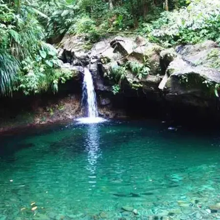 Studio cosy à Capesterre-Belle-Eau avec terrasse - Photo 10